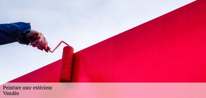 CP Rénovation et la peinture des murs extérieurs dans le 85 dans le Vendée