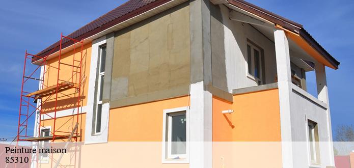Qui peut effectuer les travaux de peinture de maison à Saint Florent Des Bois dans le 85310?