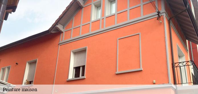 La personnalisation et la peinture des murs extérieurs à Saint Georges De Pointindoux