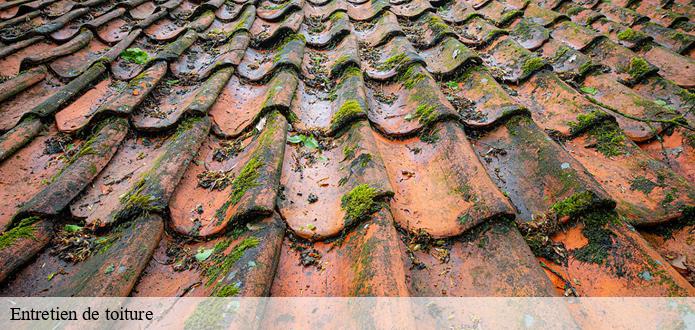 Les travaux de peinture des toits des maisons à Auzay dans le 85200 et les localités avoisinantes 