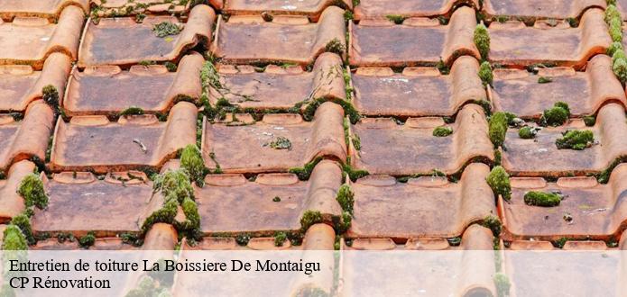 Les travaux de traitement des toits des maisons à La Boissiere De Montaigu