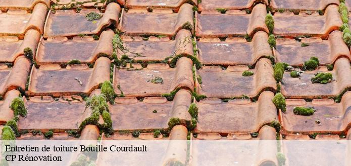 Les travaux de traitement des toits des maisons à Bouille Courdault