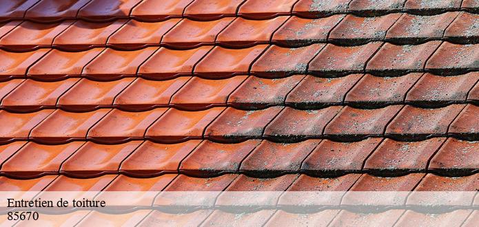 Les compétences de CP Rénovation pour le nettoyage des toits des maisons à Falleron