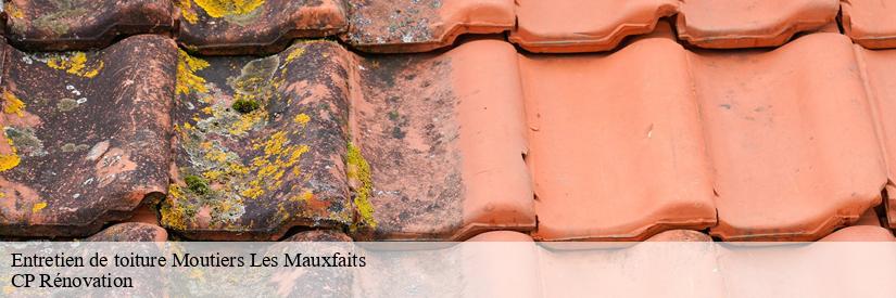 Les travaux de peinture des toits des maisons à Moutiers Les Mauxfaits dans le 85540 et les localités avoisinantes 