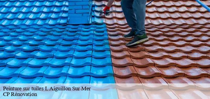 Les travaux de peinture pour les tuiles dans le 85460