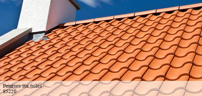 Les travaux de peinture pour les tuiles dans le 85220