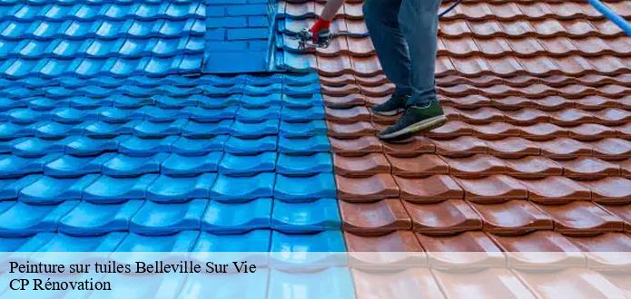 CP Rénovation : la personne qualifiée pour la peinture des tuiles à Belleville Sur Vie dans le 85170