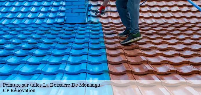 CP Rénovation et la peinture des tuiles à La Boissiere De Montaigu dans le 85600