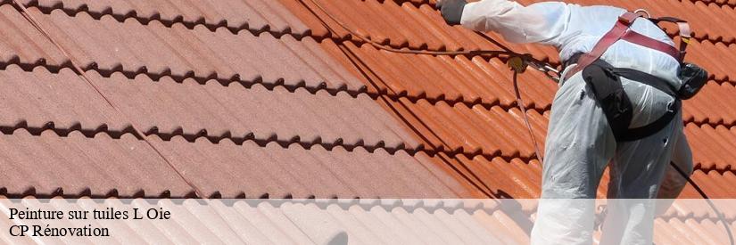 La peinture en caoutchouc pour les tuiles à L Oie