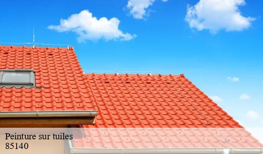 Toutes les informations à savoir sur les travaux de peinture des tuiles à L Oie dans le 85140