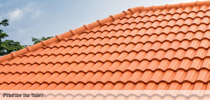 La peinture des tuiles et la réduction de l'empreinte environnementale à L Oie dans le 85140