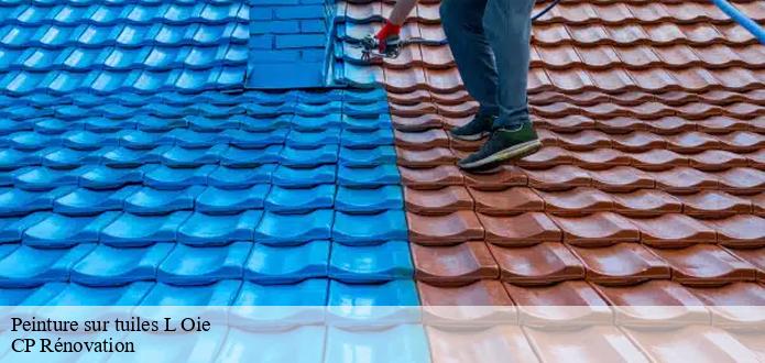 À qui peut-on confier les travaux de peinture des tuiles à L Oie dans le 85140?