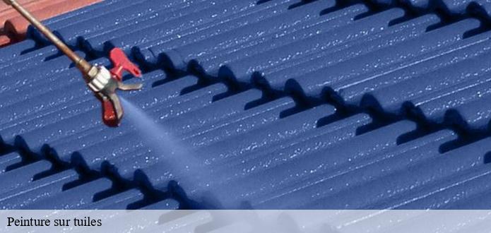 Tout ce qu'il faut savoir sur les travaux de peinture des tuiles à L Oie