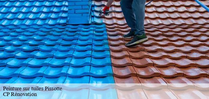 Toutes les informations à savoir sur les travaux de peinture des tuiles à Pissotte dans le 85200