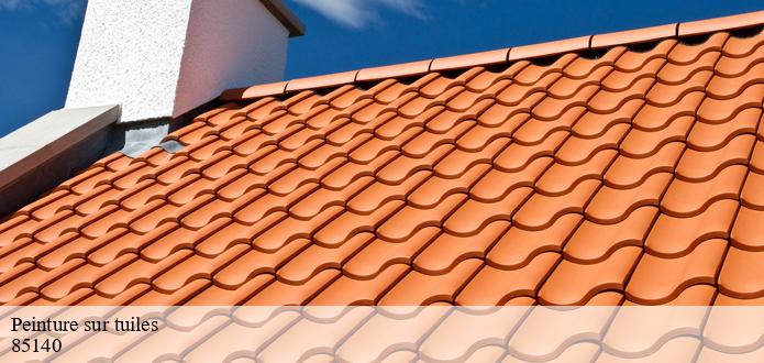 CP Rénovation et la peinture des tuiles à Sainte Florence dans le 85140