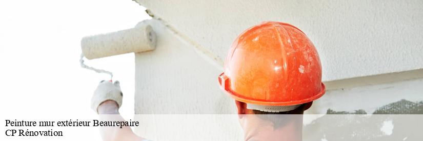 Tout ce qu'il faut savoir sur les travaux de peinture des murs extérieurs à Beaurepaire