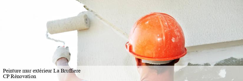 CP Rénovation : un peintre pour les murs extérieurs à La Bruffiere dans le 85530