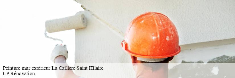 CP Rénovation : un artisan pour la peinture des murs extérieurs à La Caillere Saint Hilaire