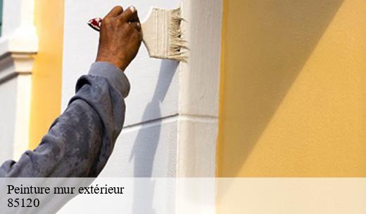 La valorisation de la propriété et les travaux de peinture des murs extérieurs à La Chapelle Aux Lys