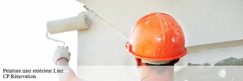 À qui peut-on confier les travaux de peinture des murs extérieurs à Liez dans le 85420?