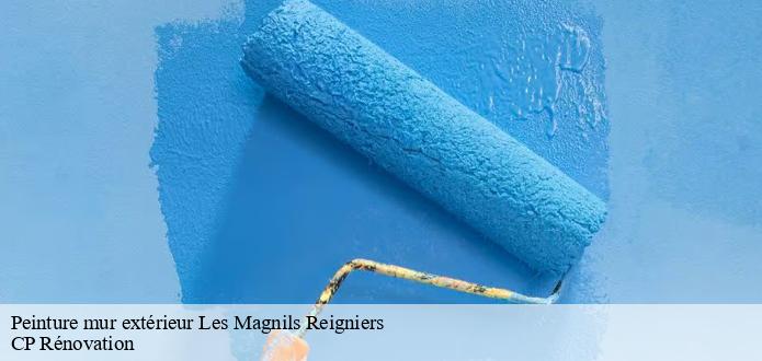 Toutes les informations à savoir sur les peintures des murs extérieurs à Les Magnils Reigniers