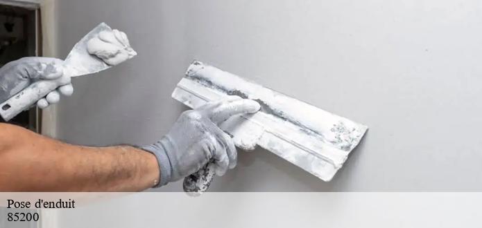 Ce qu'il faut savoir sur les travaux de pose des enduits en ciment à Auzay dans le 85200