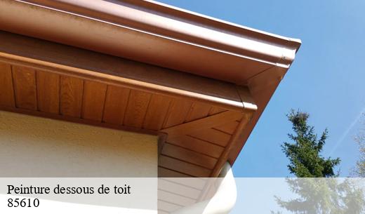 CP Rénovation et ses compétences pour la peinture des dessous de toit à Cugand