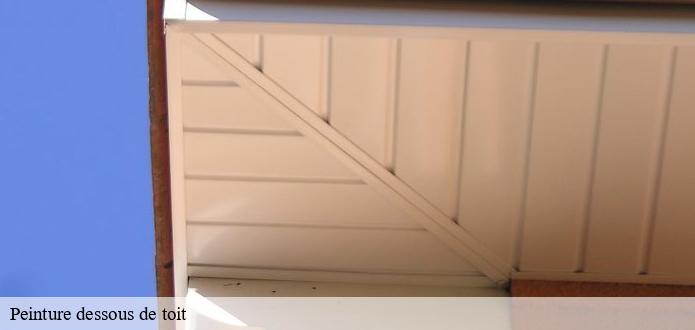 À qui peut-on confier les travaux de peinture des dessous de toit à La Guyonniere dans le 85600?